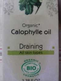 LABORATIORE DU HAUT-SÉGALA - Calophylle oil draining