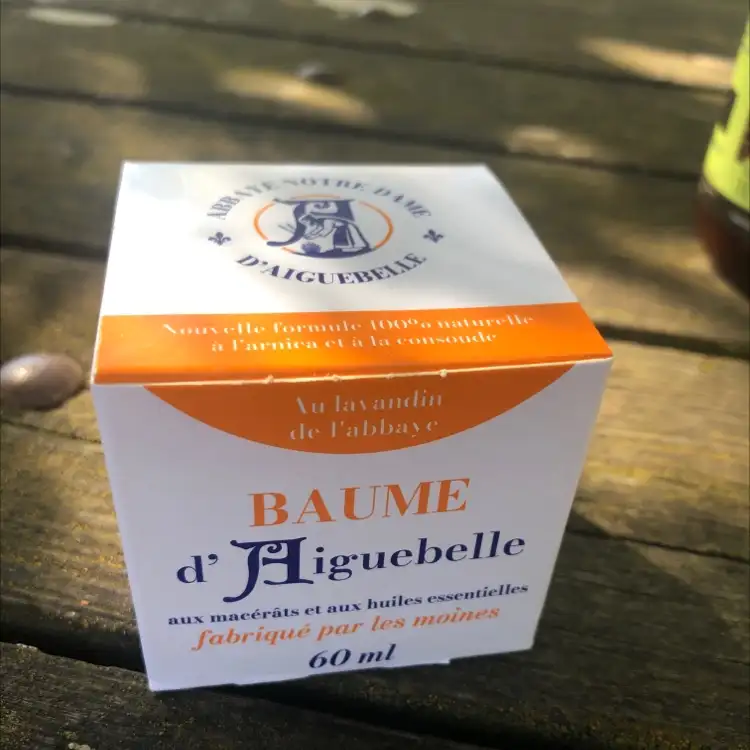 ABBAYE NOTRE DAME D'AIGUEBELLE - Baume d'Aiguebelle 