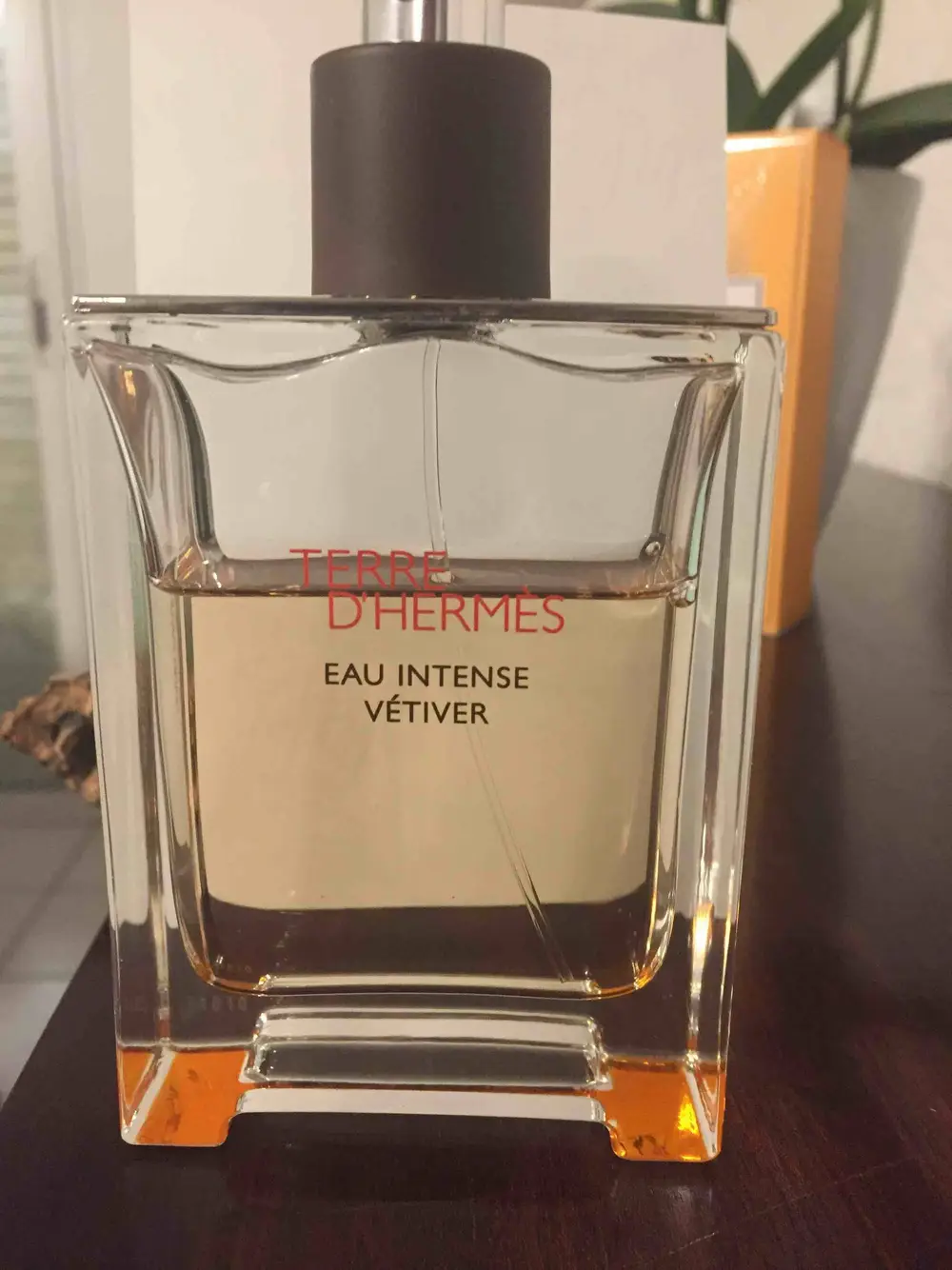 HERMES - Terre d'Hermès - Eau intense Vétiver