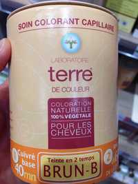 TERRE DE COULEUR - Coloration naturelle 100% végétale 1 cuivré base