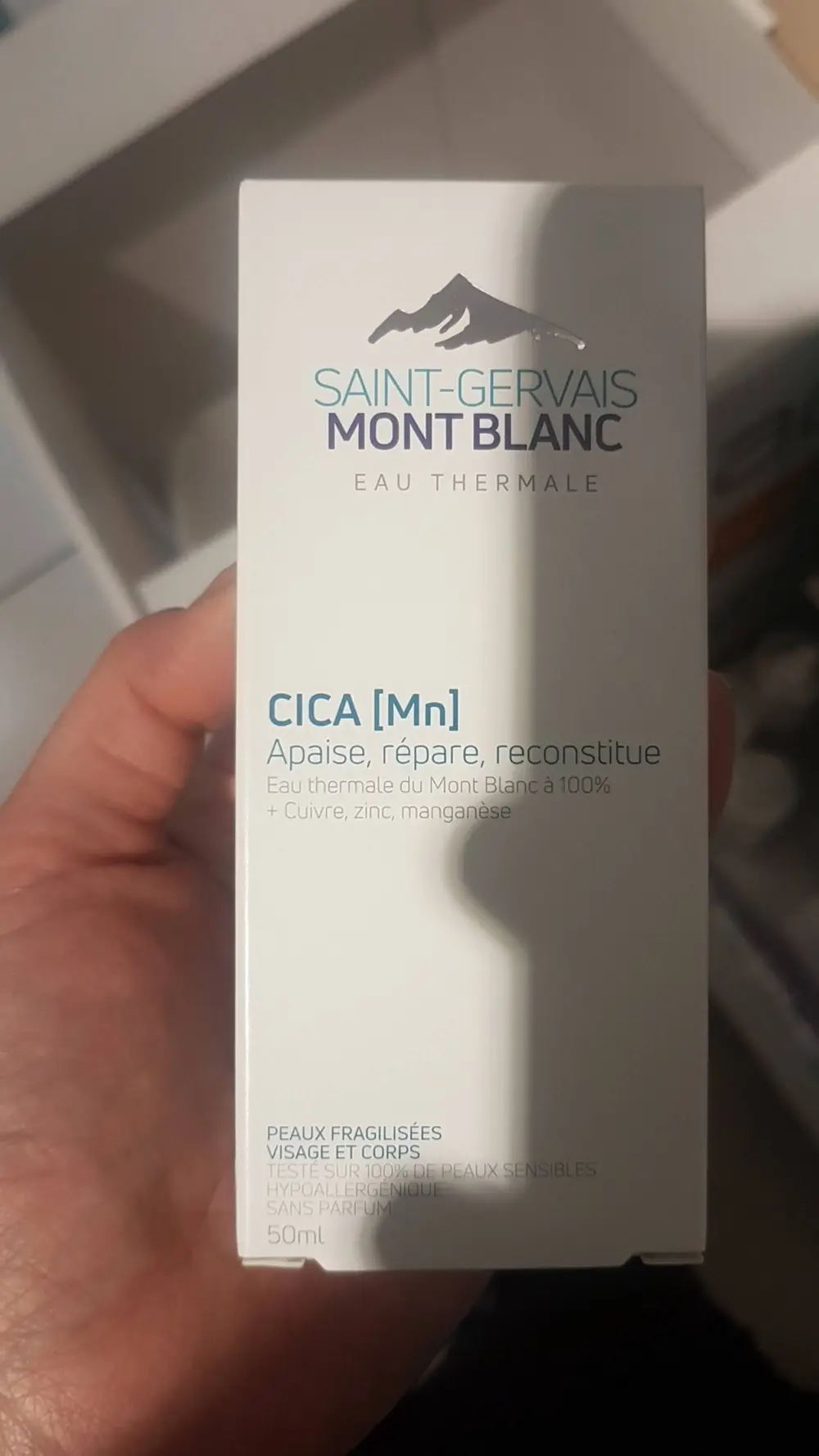 SAINT-GERVAIS MONT BLANC - CICA Mn - Apaise répare reconstitue