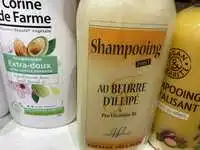 LABORATOIRES WILSON - Cheveux très sèc - Shampooing 2 en 1 au beurre d'illipé 