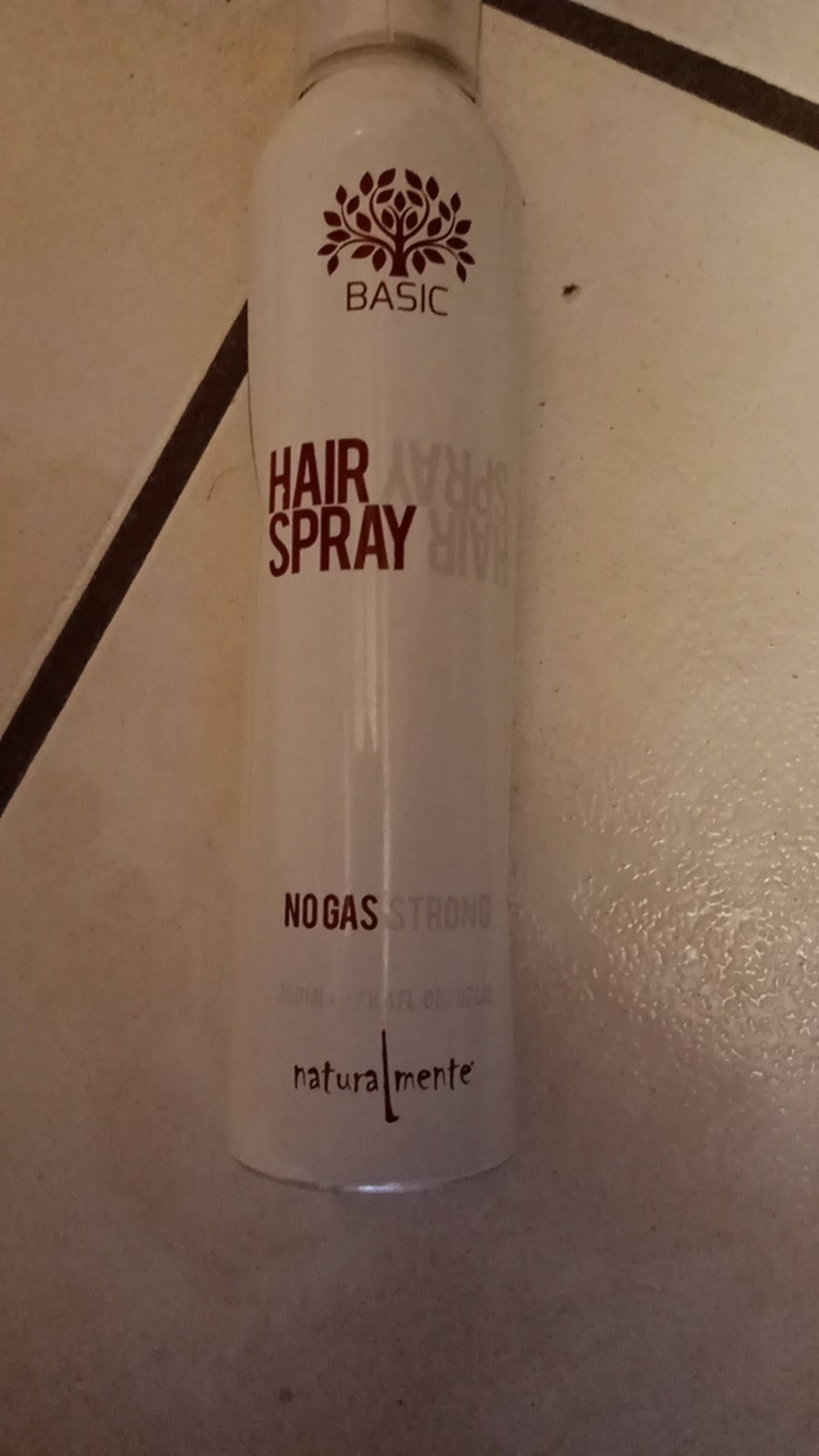 NATURALMENTE - Basic - Hairspray strong