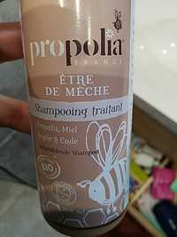PROPOLIA - Être de mèche - Shampooing traitant propolis bio
