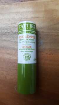 CATTIER - Soin lèvres bio à l'extrait de l'olive et mague sauvage