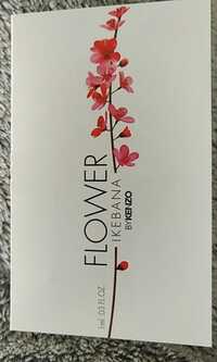KENZO - Flower Ikebana - Eau de parfum