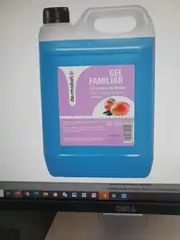 DESMABEL - Gel familiar con esencia de mango