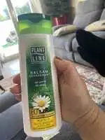 PLANT LINE - Balsam regenerant