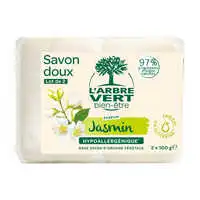 L'ARBRE VERT BIEN-ÊTRE - L'Arbre Vert Bien-être Savon solide doux parfum Jasmin - Hypoallergénique - 97% d'ingrédients d'origine naturelle - lot de 2x100g