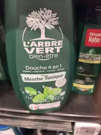 L'ARBRE VERT - Douche 4 en 1 parfum menthe tonique