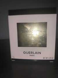 GUERLAIN - Terracotta luminizer - The shimmering powder