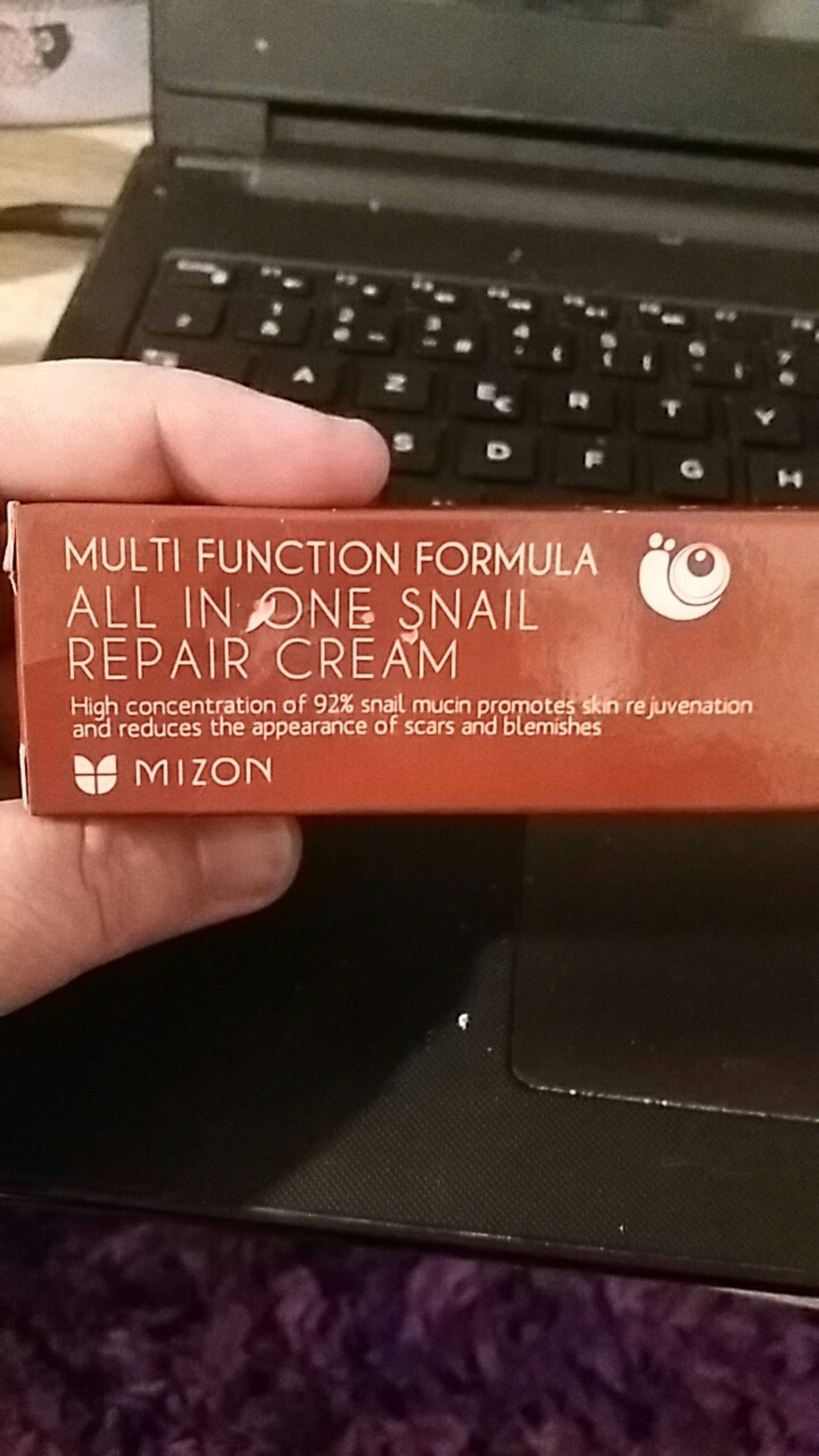 MIZON - Multi function formula - All in one snail repair cream