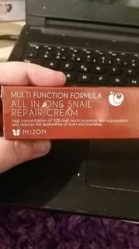 MIZON - Multi function formula - All in one snail repair cream