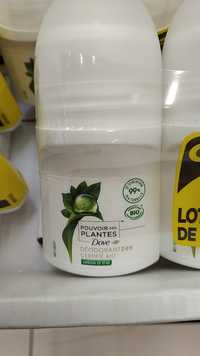 DOVE - Pouvoir des plantes - Déodorant 24h arbre à thé