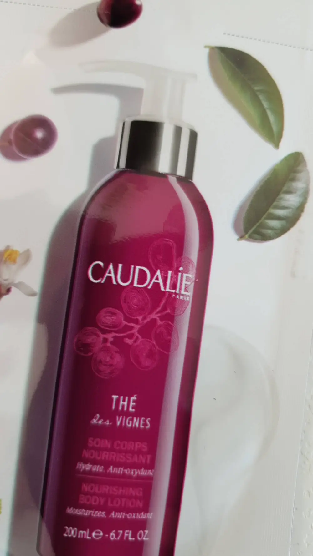 CAUDALIE - Thé des vignes - Soin corps nourrissant