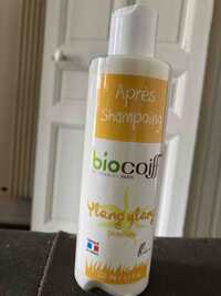 BIOCOIFF - Ylan ylang - Après shampooing démêlant