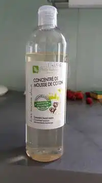 BODY NATURE - Concentré de mousse de coton - Lavant mains