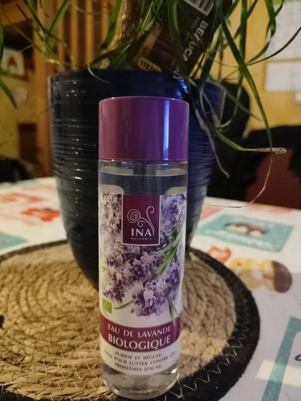 INA - Eau de lavande biologique