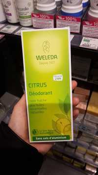 WELEDA - Citrus - Déodorant 24h sans sels d'aluminium