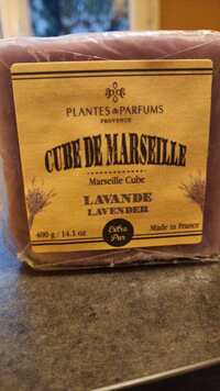 PLANTES & PARFUMS - Cube de Marseille lavande