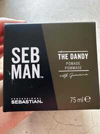 SEBASTIAN PROFESSIONAL - Seb Man the dandy - Pommade