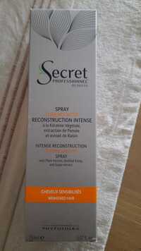 SECRET PROFESSIONNEL - Spray thermo-actif reconstructin intense