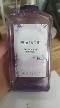 L'OCCITANE EN PROVENCE - Lavande blanche - Gel douche