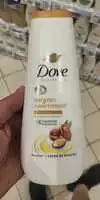 DOVE - Surgras nourrissant - Crème de douche 24h