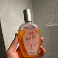 SUNSET CAFE - Avalon peach - Eau de parfum spray