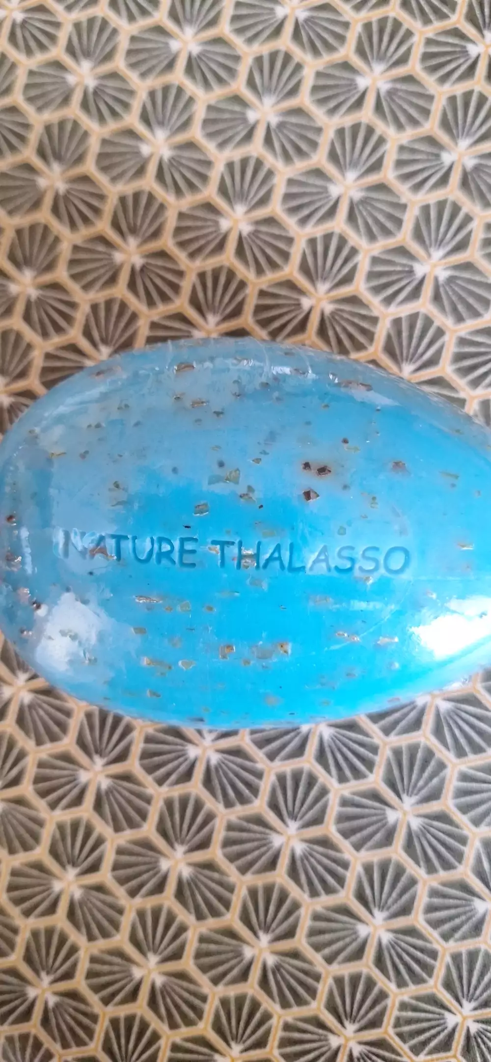 NATURE THALASSO - Savon galet exfoliant