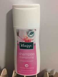KNEIPP - Shampooing almond blossom