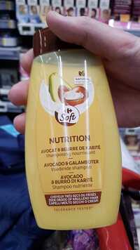 CARREFOUR - Solft Nutrition - Shampooing nourrissant