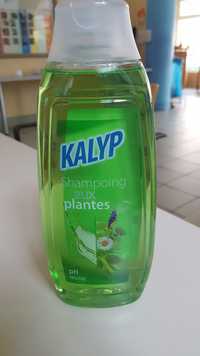 KALYP - Shampoing aux plantes