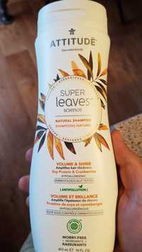 ATTITUDE - Super leaves science - Shampooing naturel
