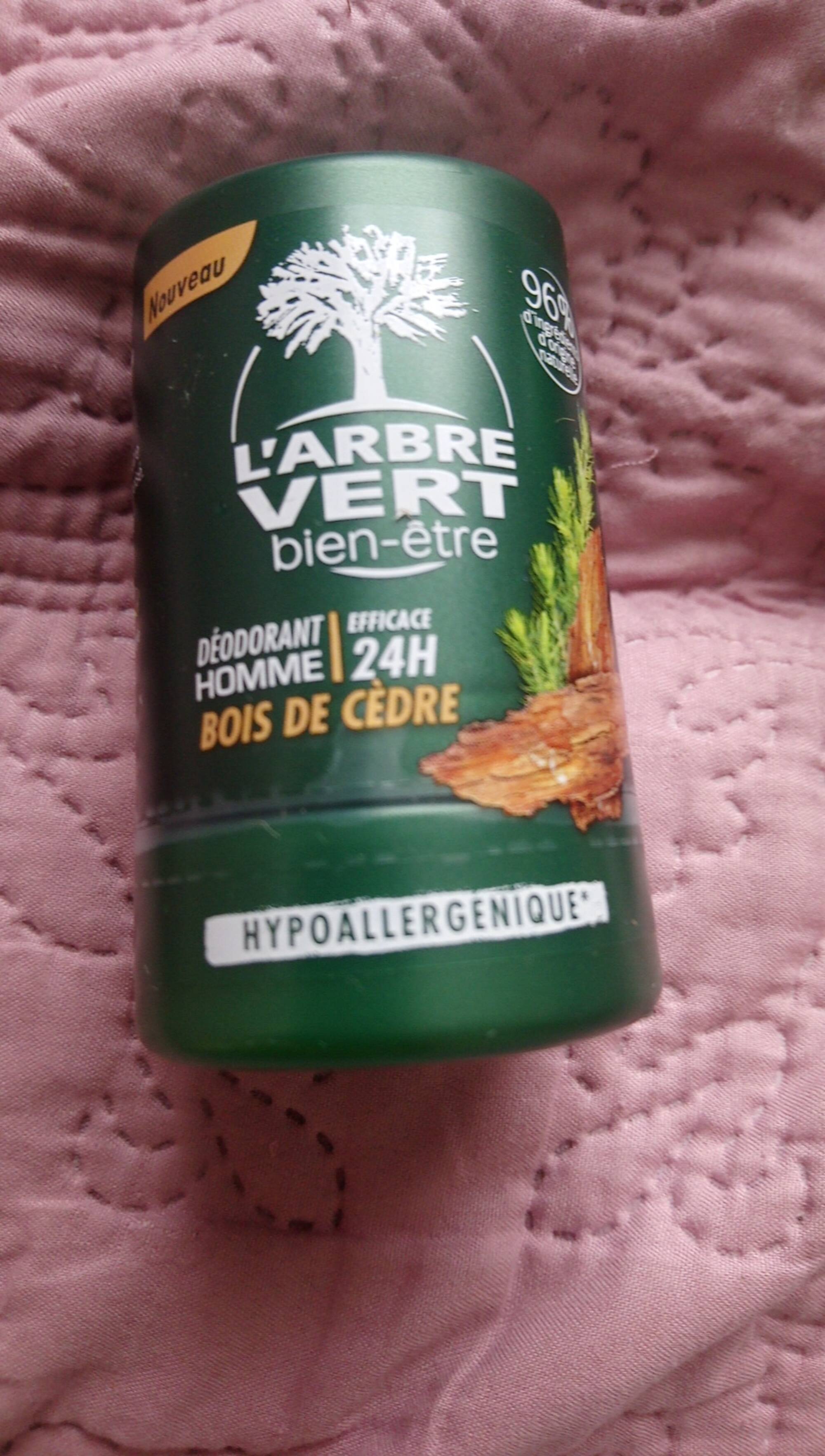 L'Arbre Vert Déodorant Hypoallergénique Au Parfum Argan & Hamamélis - INCI  Beauty