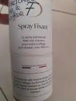 FD COIFFURE - Spray fixant