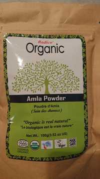 RADICO - Organic amla powder - Soin des cheveux