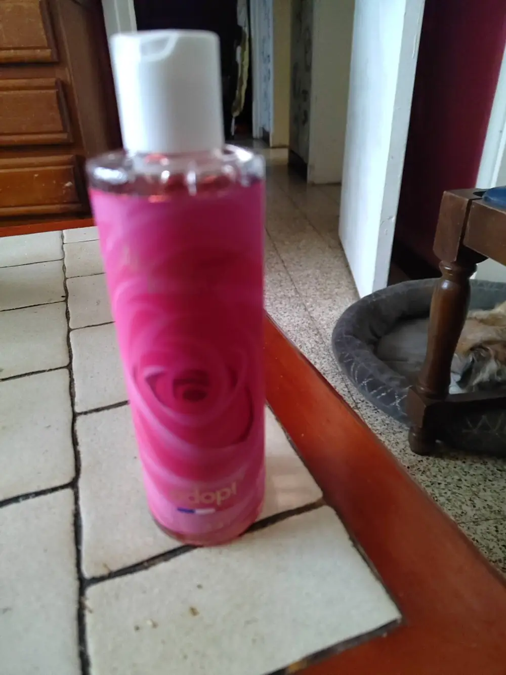 ADOPT' - Absolument rose