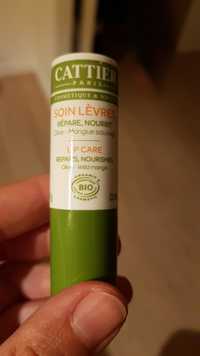 CATTIER PARIS - Olive mangue sauvage - Soin lèvres bio