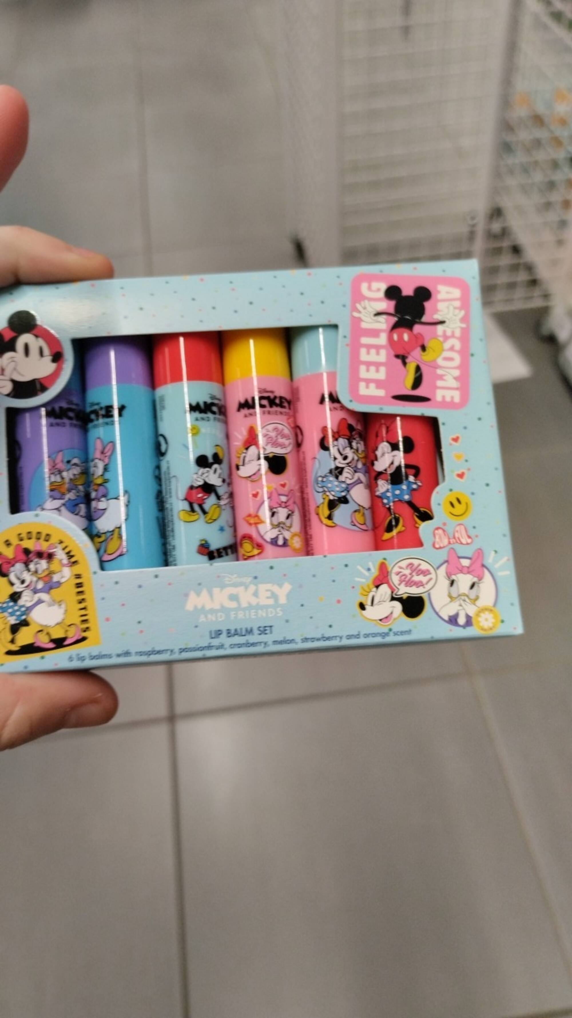 DISNEY MICKEY AND FRIENDS - Lip balm set