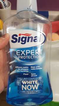 SIGNAL - Expert protection white now - Bain de bouche
