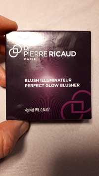 DR PIERRE RICAUD - Blush illiminateur perfect glow blusher