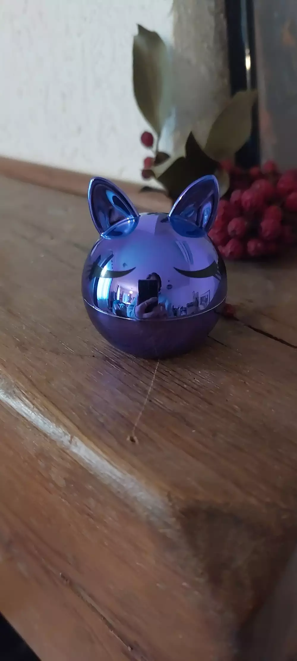 CLAIRE'S - Lip balm grappe