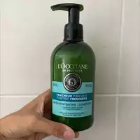L'OCCITANE EN PROVENCE - Après-shampooing fraîcheur purifiante