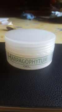 INSTITUT CLAUDE BELL - Harpagophytum - Gel