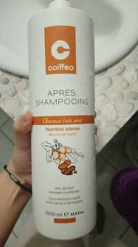 COIFFEO - Après shampooing cheveux très secs