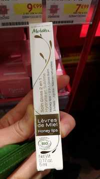 MELVITA - Lèvres de miel - Soin gloss 2 en 1 bio