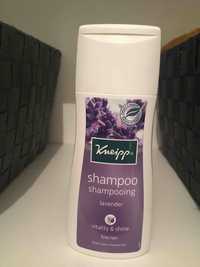 KNEIPP - Shampooing lavender