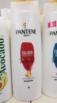 PANTENE PRO-V - Colour protect - Shampoo