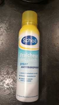 SCHOLL - Fraîcheur des pieds - Spray antitranspirant